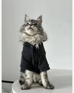 Hoodie Chat Noir Élégant
