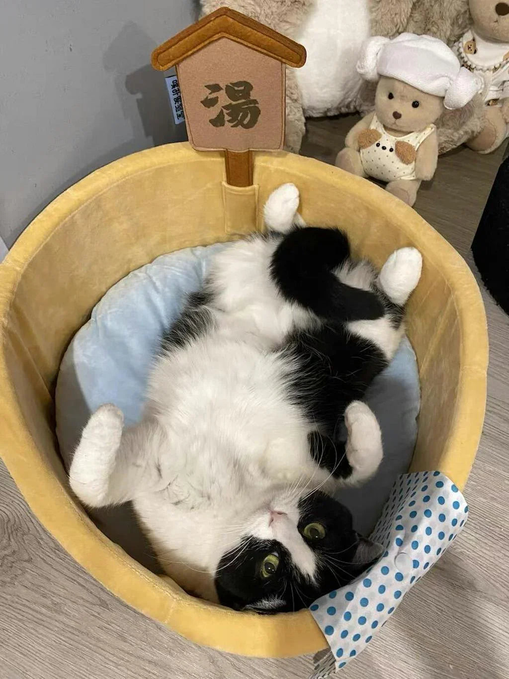 Warm Bath Hot Spring Cat Habitat Series