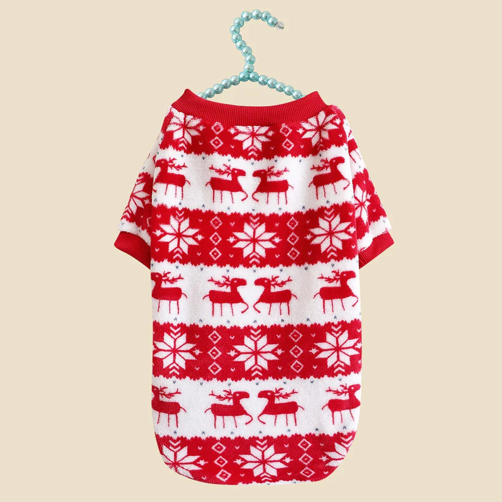 Pull pour Chat Style Noël