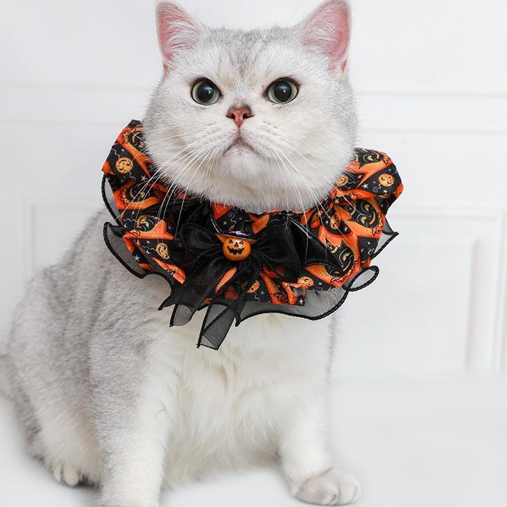 Lindo disfraz de murciélago para mascota de Halloween 