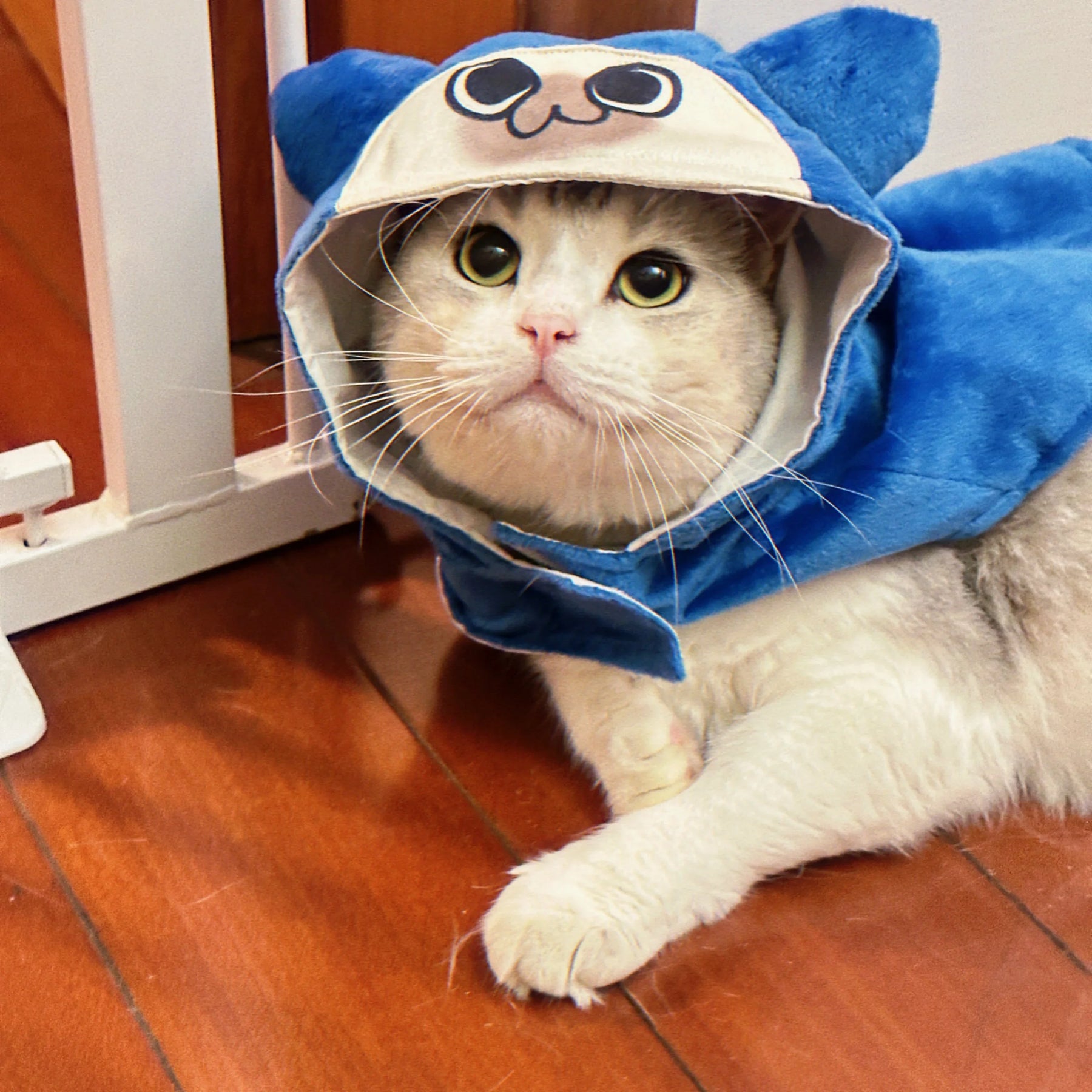 Monster Hunter Palico Bened Cat Cloak