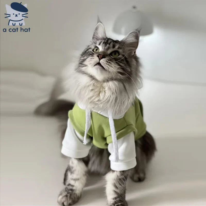 Sudadera con capucha de gato verde chic con capas