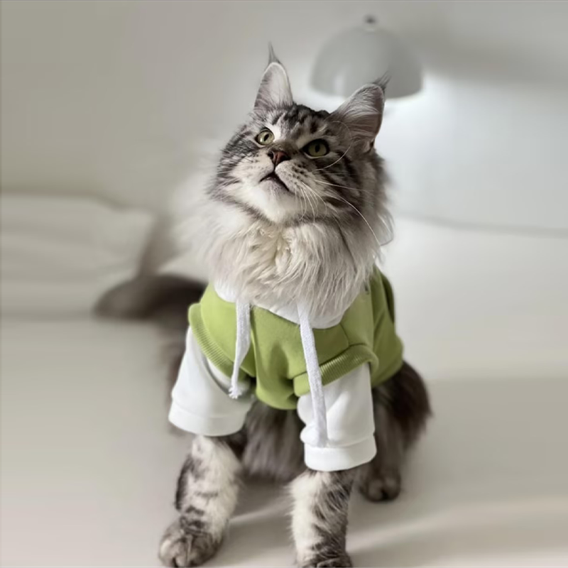"Chic Green Layered Cat Hoodie"