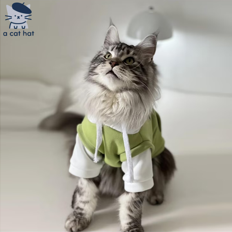 "Chic Green Layered Cat Hoodie"