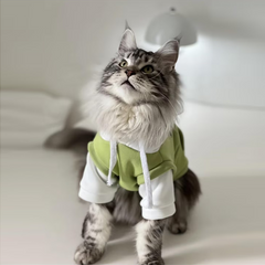 "Chic Green Layered Cat Hoodie"