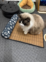 Summer Cooling Rattan Pet Mat with Bolster Pillow