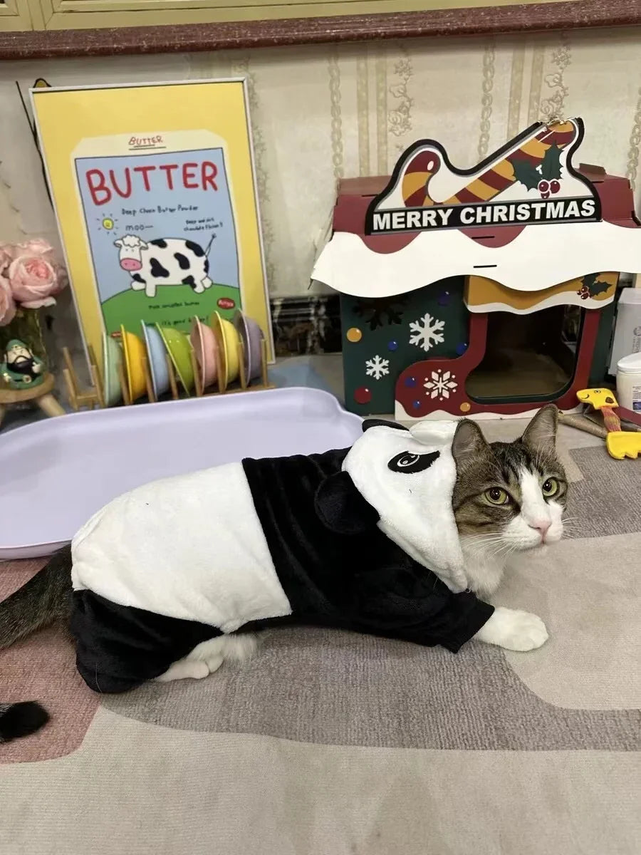 Panda Cat Hoodie