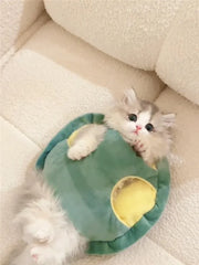 Turtle Shell Clothes