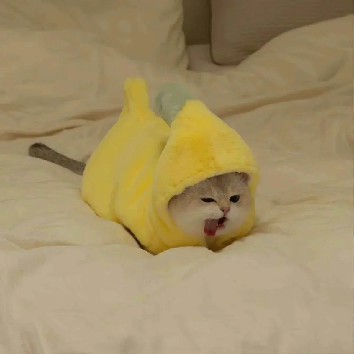 Banana Cat Costume
