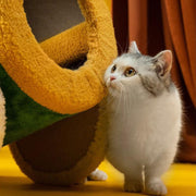 Circus Fun Katzenwohnserie (einschließlich Kratzbäume und Katzenbett) 