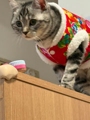 Chaqueta de gato con estampado floral de estilo folklórico chino
