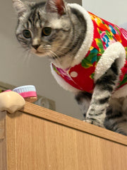 Chinese Folk Style Floral Cat jacket