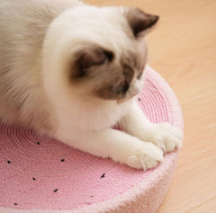 Niedlicher Katzenkratzbaum mit Schweinchenmotiv 