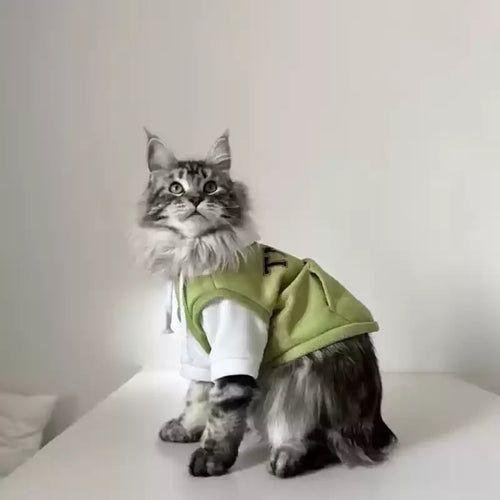Sudadera con capucha de gato verde chic con capas