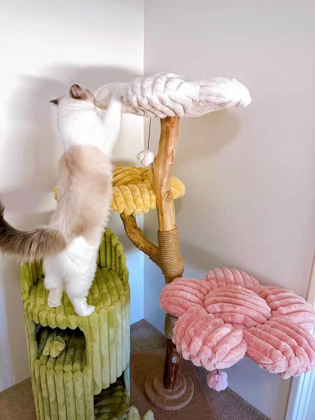Customer cat enjoying an Acathat cat tree
