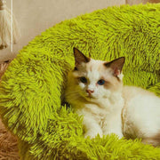 Monster Cat Nest