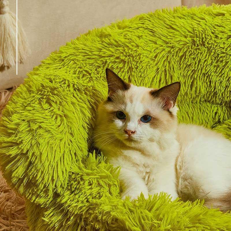 Monster Cat Nest