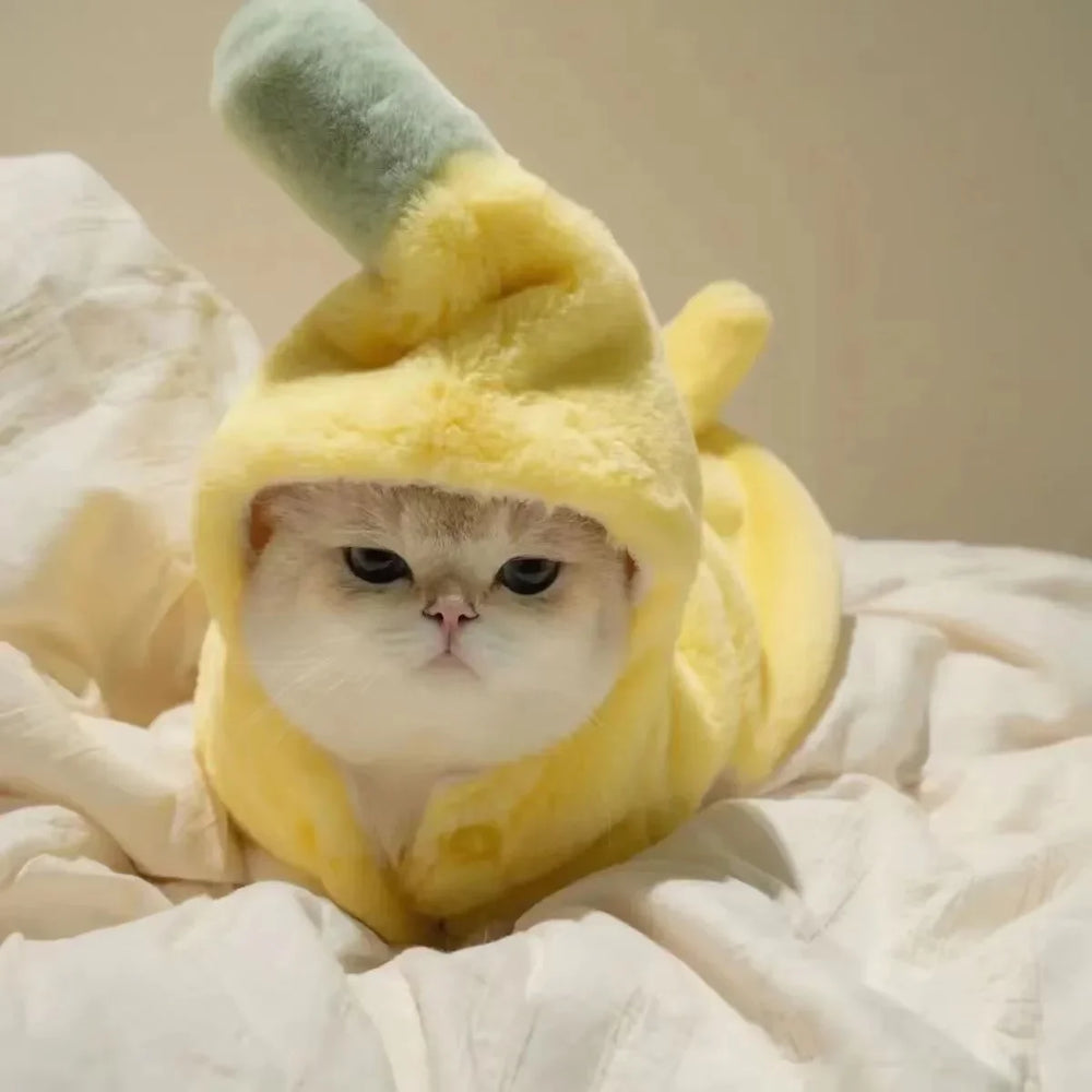 Disfraz de gato banana