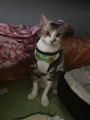 Toy Story Vest (Woody/Buzz Lightyear)