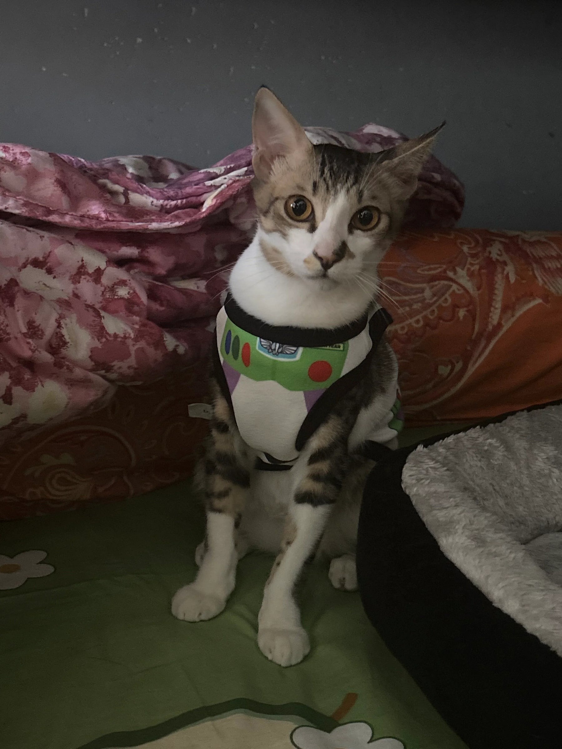 Toy Story Vest (Woody/Buzz Lightyear)