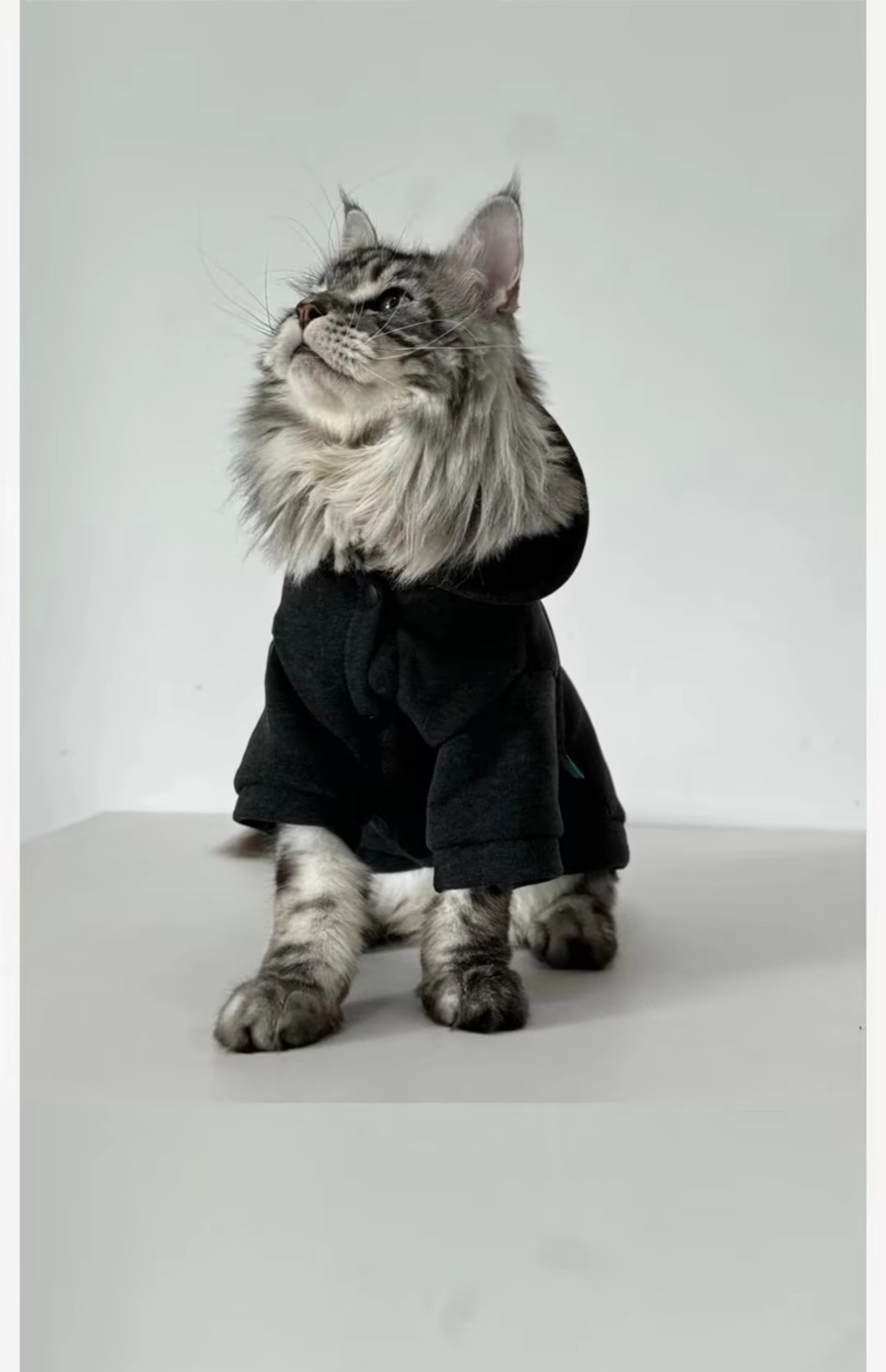 Sleek Black Cat Hoodie