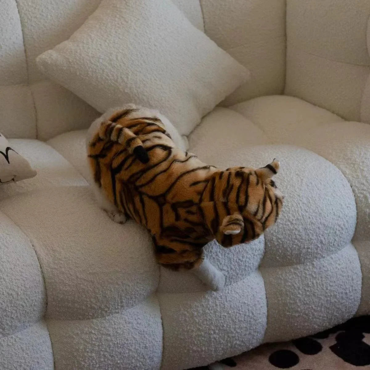 Costume Chat à Capuche Style Tigre