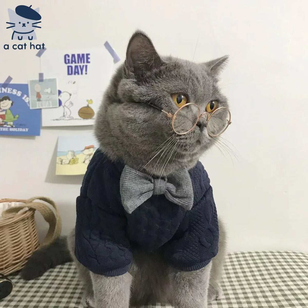 Gentleman Paws Knitted Cat Clothes