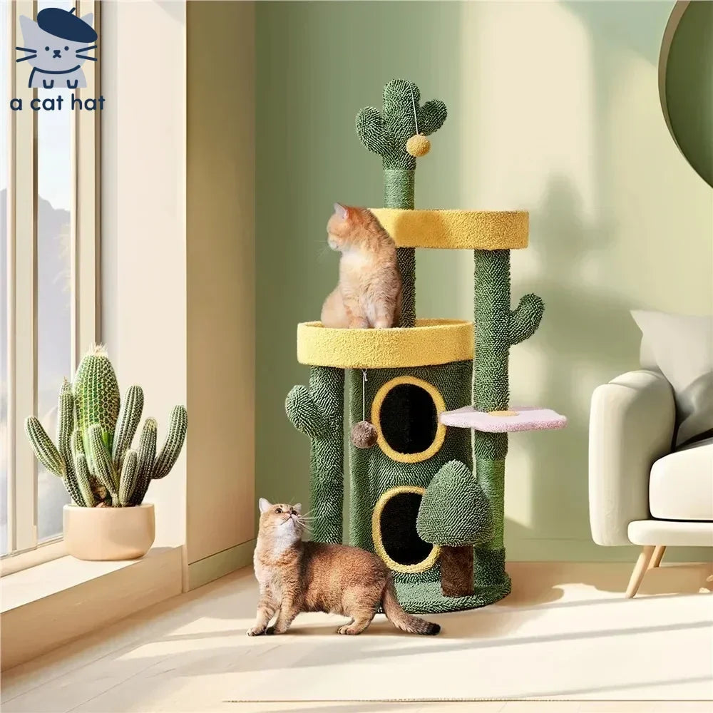 Niedlicher Katzenbaum aus Sukkulentenkaktus