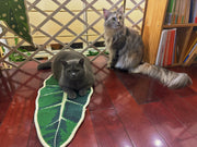Rascador para gatos Green Plant Series