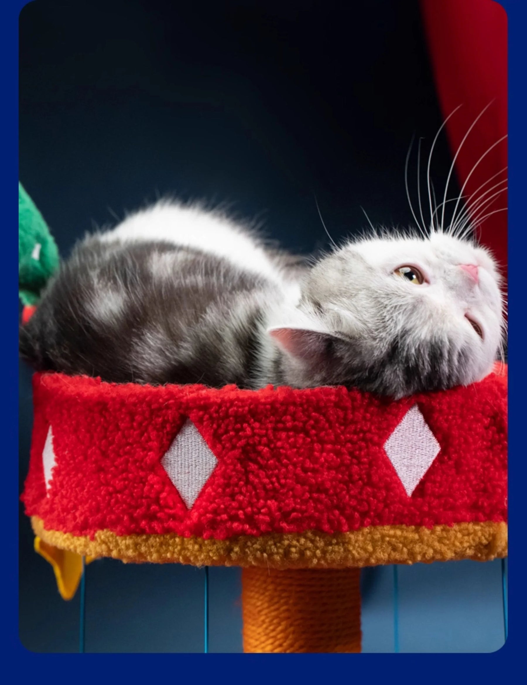 Circus Fun Katzenwohnserie (einschließlich Kratzbäume und Katzenbett) 