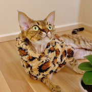 Leopard - Print Fuzzy Cat Sweater