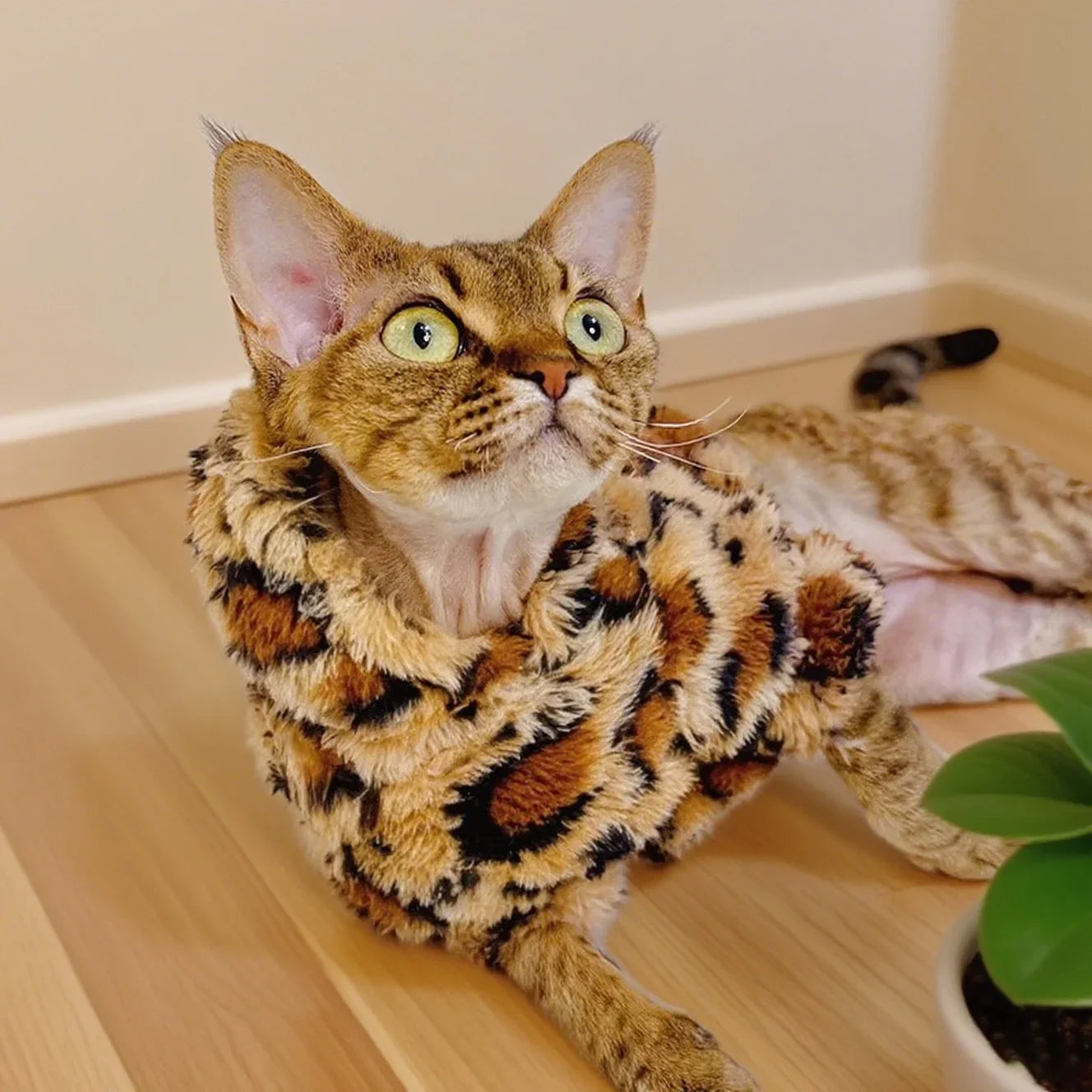 Pull en Fourrure Imprimé Léopard pour Chat