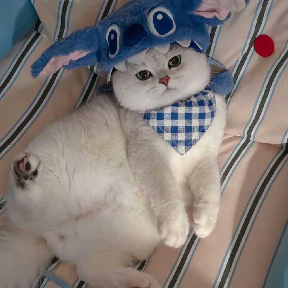 Stitch Cat Hat