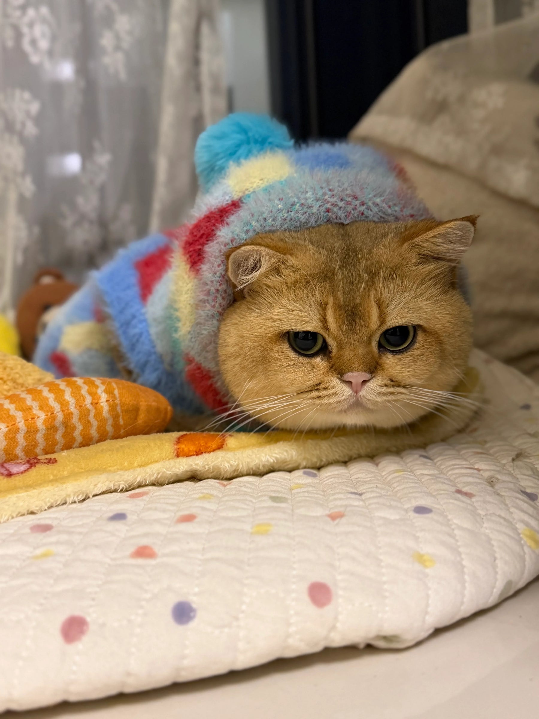Suéter de gato con capucha y pompones con estampado de rombos