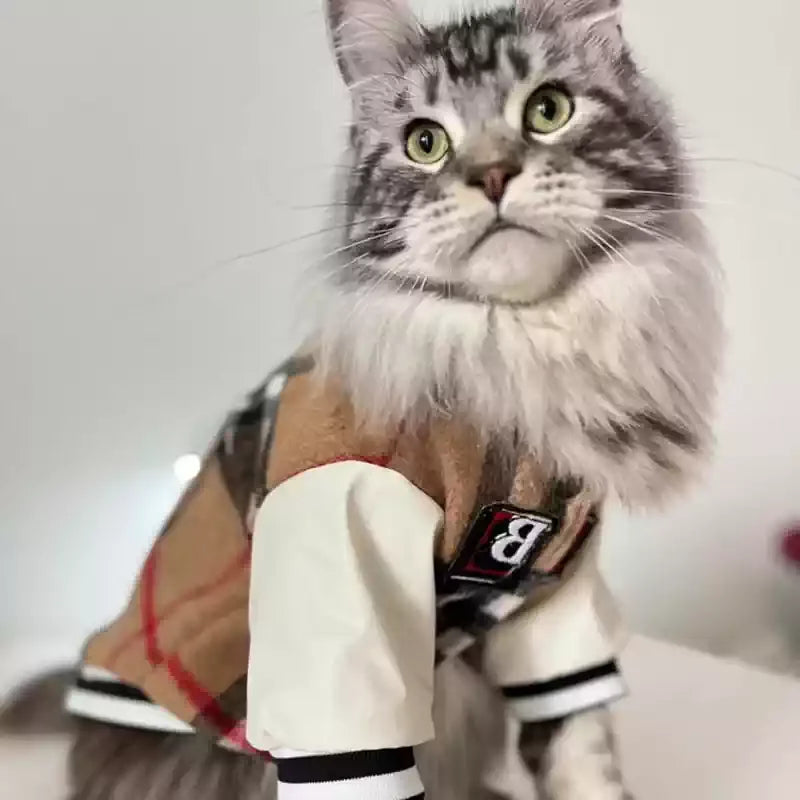 Maillot de Baseball "Feline MVP" pour Chat