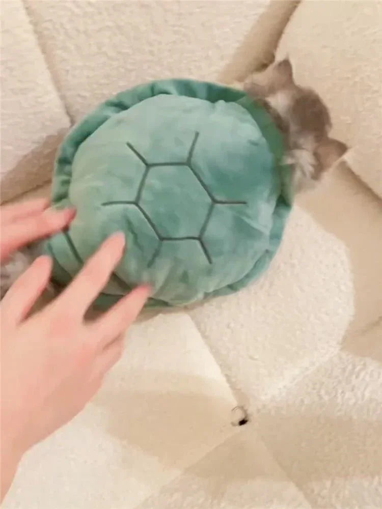 Turtle Shell Clothes