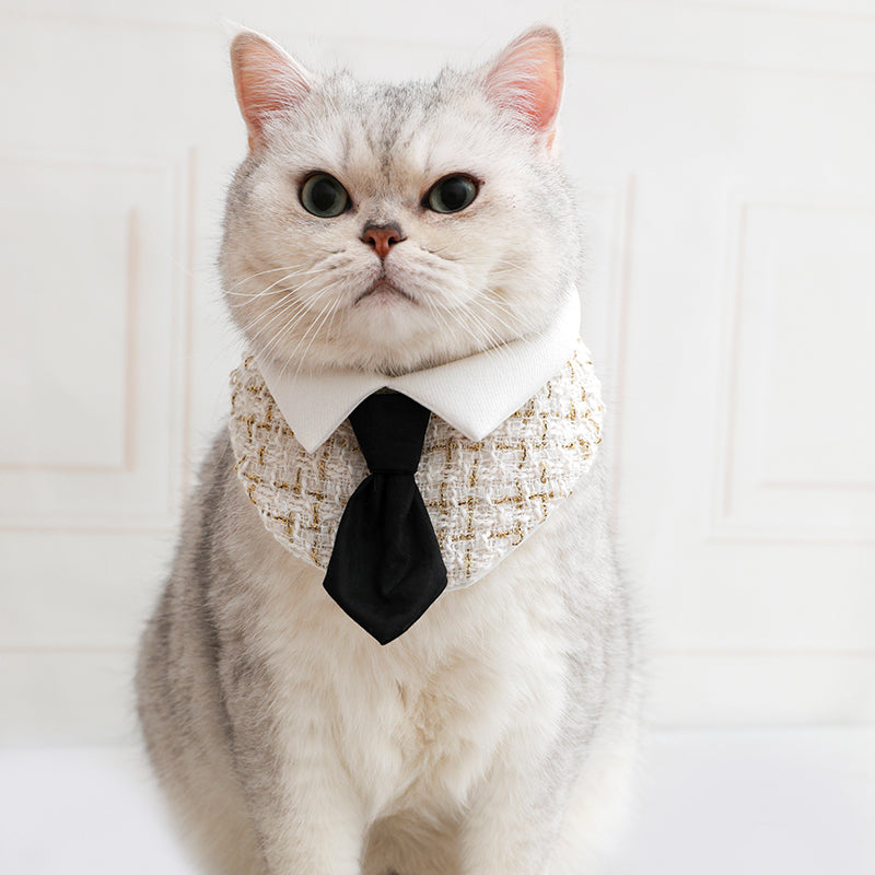 Gentleman Cat Plaid Bowtie