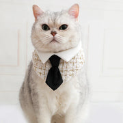 Gentleman Cat Plaid Fliege