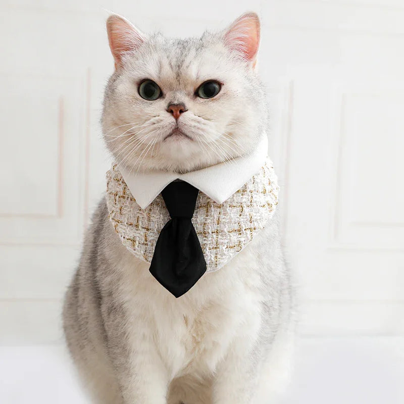 Gentleman Cat Plaid Fliege