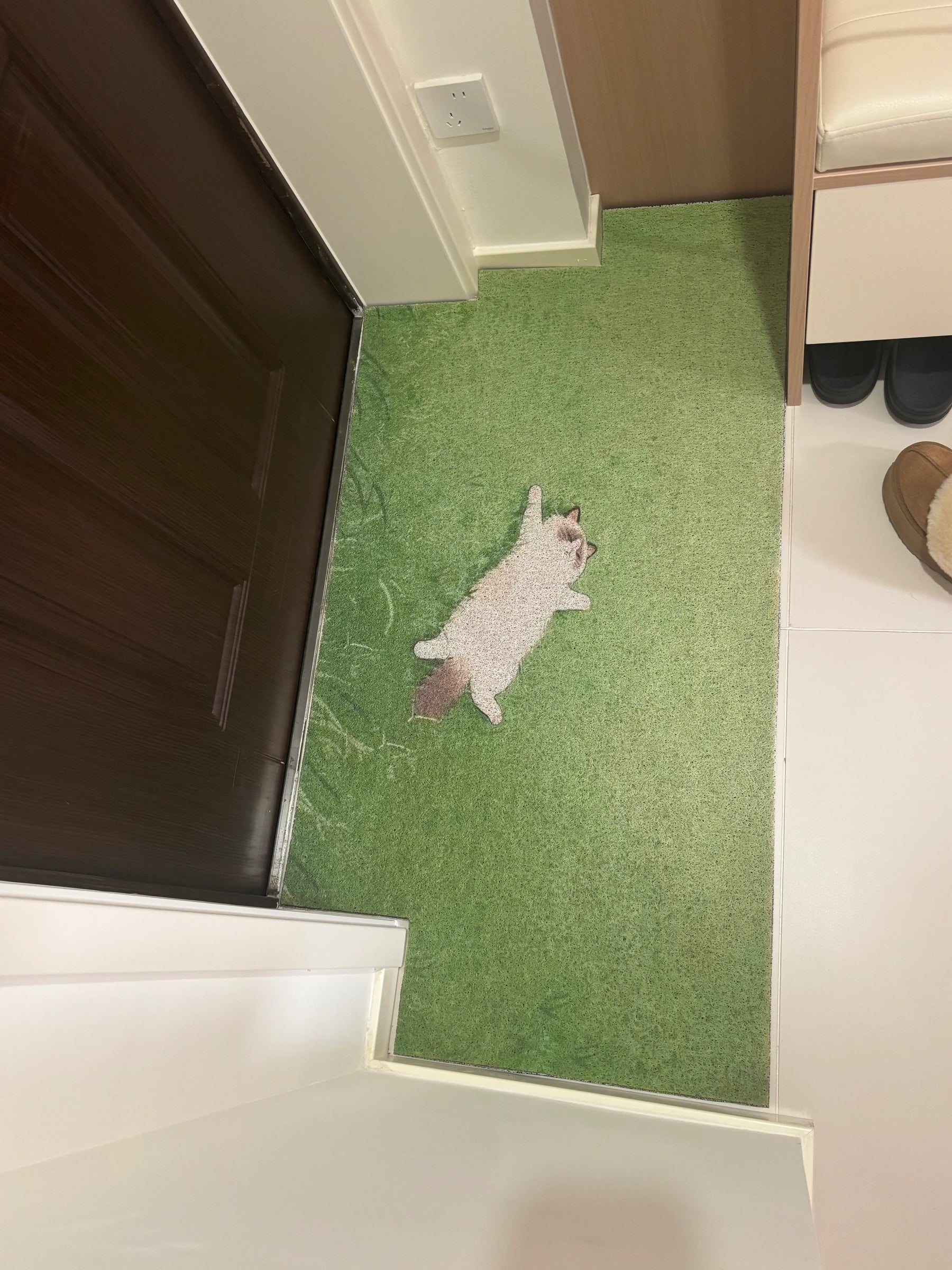 Fauler Katzen-Kunstrasen-Teppich