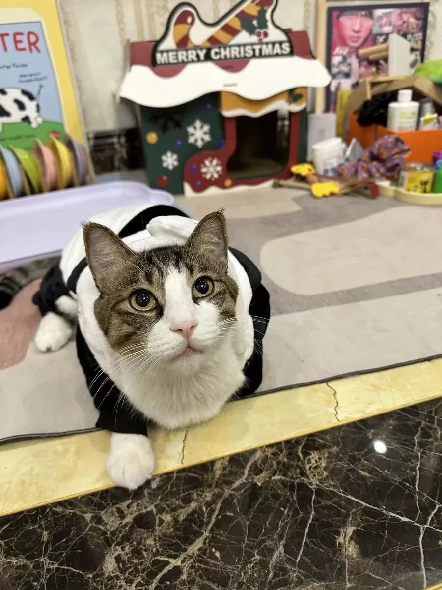 Panda Cat Hoodie