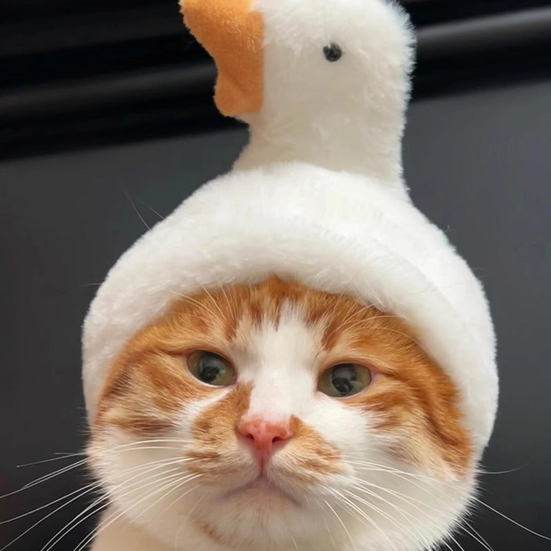 Cat wearing clothing or a character-inspired costume
