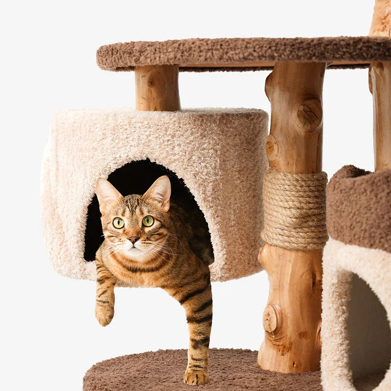 Mushroom Forest Multi-Level Solid Wood Cat Tree