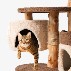 Mushroom Forest Multi-Level Solid Wood Cat Tree