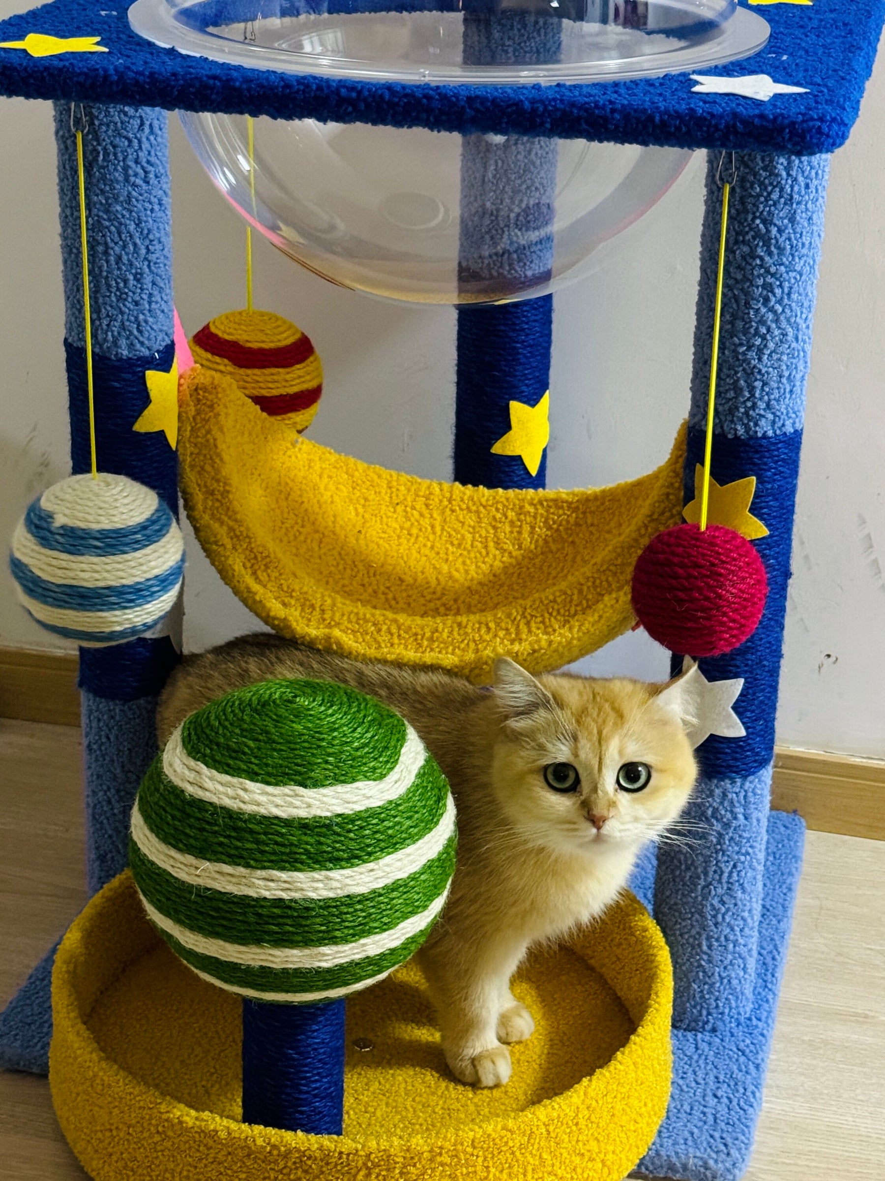 Customer cat enjoying an Acathat cat tree