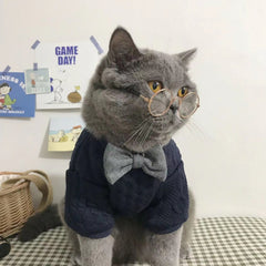 Gentleman Paws Knitted Cat Clothes