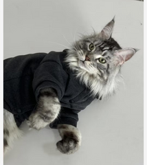 Sleek Black Cat Hoodie
