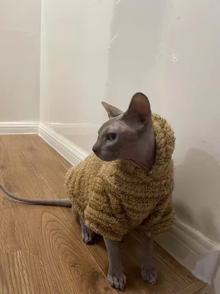 Cozy Fleece Cat Sweater