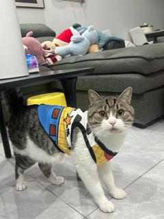 Toy Story Weste (Woody/Buzz Lightyear)