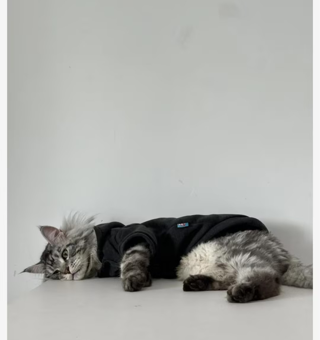 Sleek Black Cat Hoodie